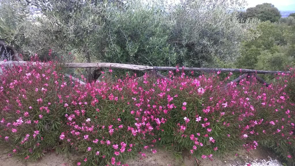 Piccolo Relais Galletto Di Marzo Spa E Relax Solo Per Due Paciano Bagian luar foto