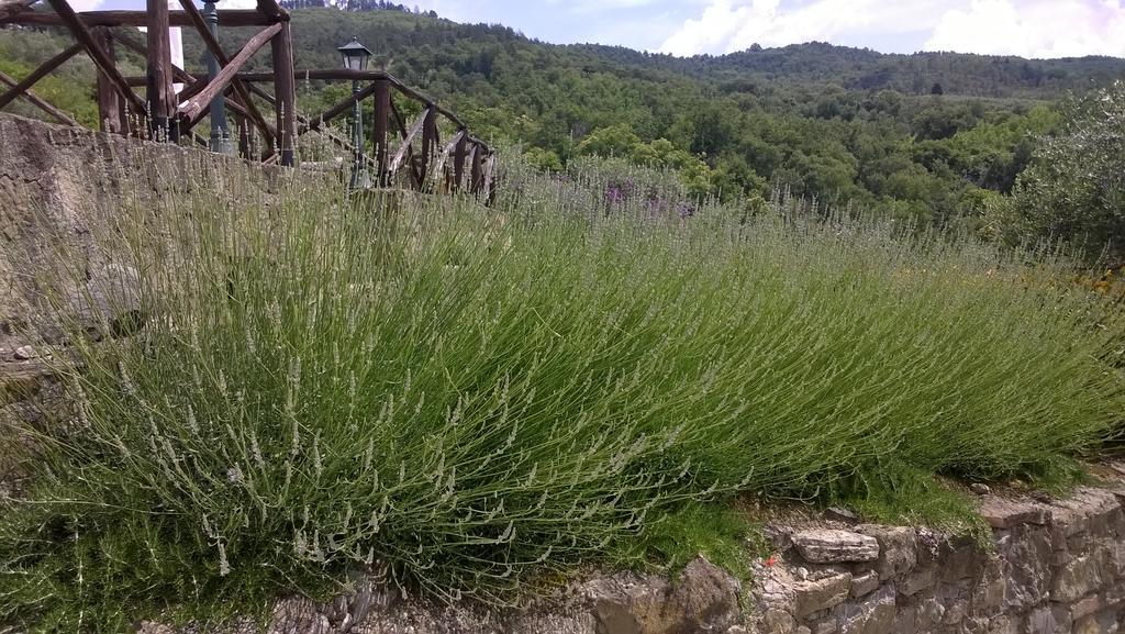 Piccolo Relais Galletto Di Marzo Spa E Relax Solo Per Due Paciano Bagian luar foto